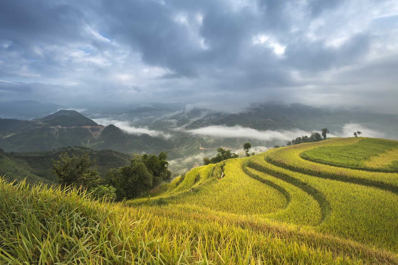 探秘宁夏中卫，带你领略西北瑰宝般的旅游胜地