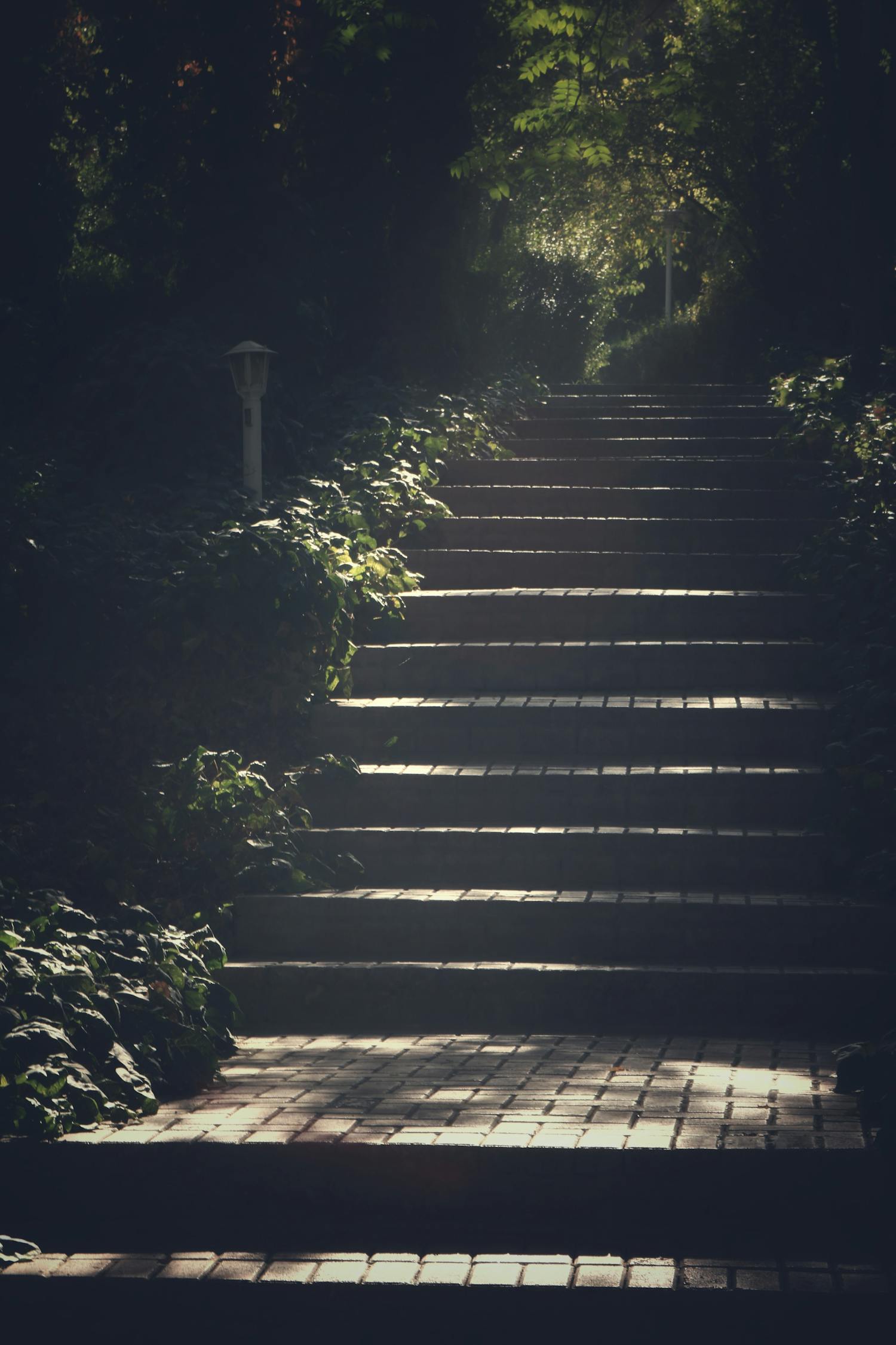 悠远乡间的诗韵——走进那条小路的音乐之旅