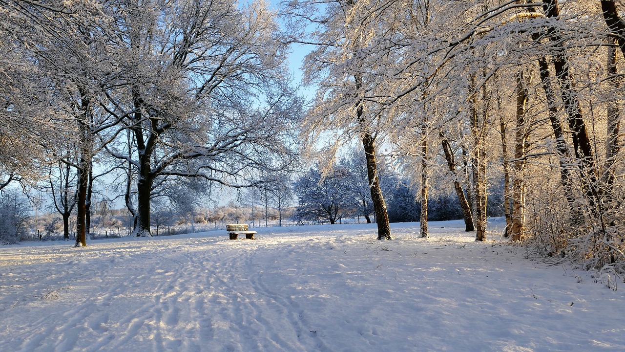 冬日奇遇记，探访安波滑雪场，雪域狂欢的冰雪乐园