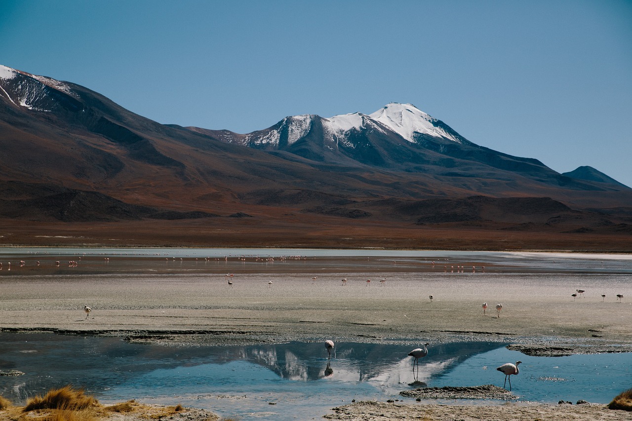 探索秦韵之都，探寻咸阳旅游胜地的千年魅力